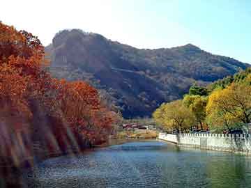 澳门天天免费精准大全，泛目录程序